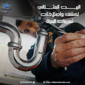 مؤسسة كشف تسربات